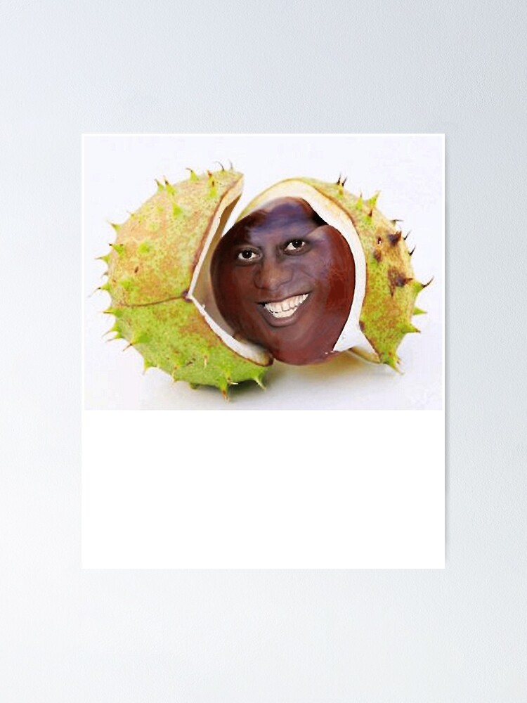 Ainsley Harriott As A Conker Poster For Sale By Feliojfmazza W