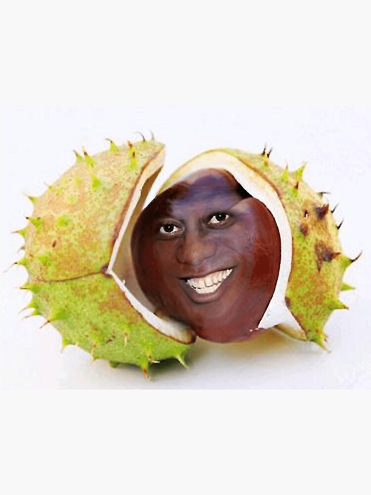 Ainsley Harriott As A Conker Sticker By Feliojfmazza9w Redbubble