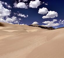 Colorado Sand Dunes by Rachel Leigh