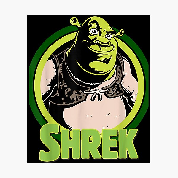 More Then Awesome Shrek Meme Movie Script Joke Meme Photographic