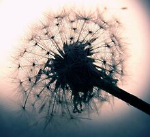 Wishful Thinking by tangleduptight