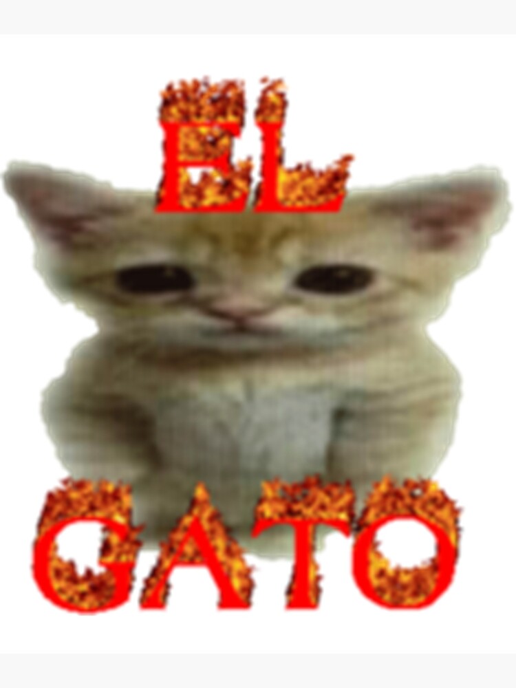 El Gato Cat Funny Cursed Meme Long Photographic Print For Sale By