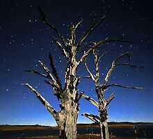 Dance to the End of Time #2 by Geoff Coleman - Landscapes