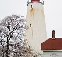 Sandy Hook Lighthouse by andykazie