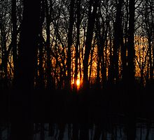 Waking up the Sun :) by TerriRiver