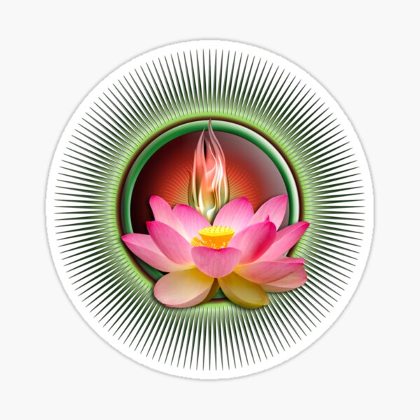 Budist Lotus Sticker By Theacescases Redbubble