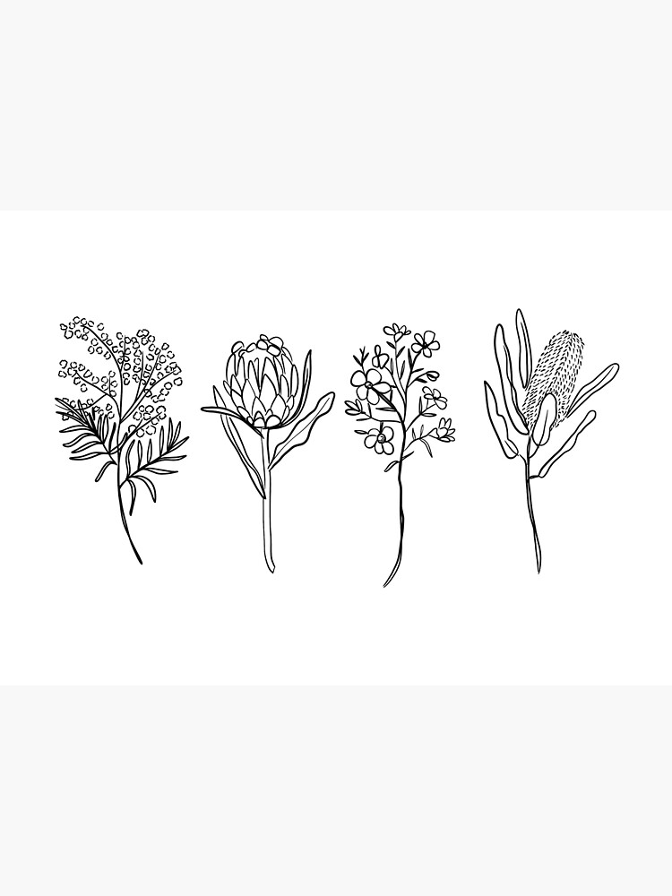 Australian Native Flowers Line Drawing Kisscut Art Print For Sale