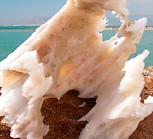 Dead sea salt 3 by Efi Keren
