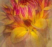 Brighter than the Sun by Marilyn Cornwell