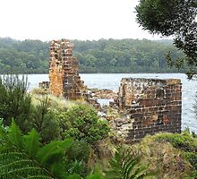 Location Location - Wilderness, Tasmania by Philip Johnson