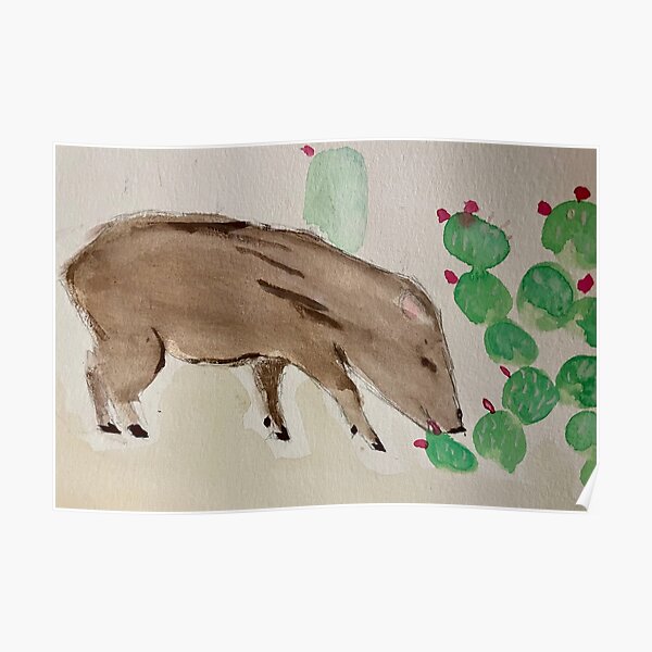 Javelina Eating Prickly Pear Cactus Poster For Sale By Disabled Faith