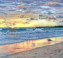 New beginnings by Christopher Cooper