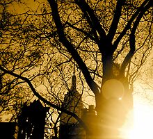 Blinding City by pbeltz