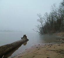 west bank red river by Airbrushr Rick Shores