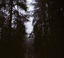 Will you let me pass? by HappyMelvin