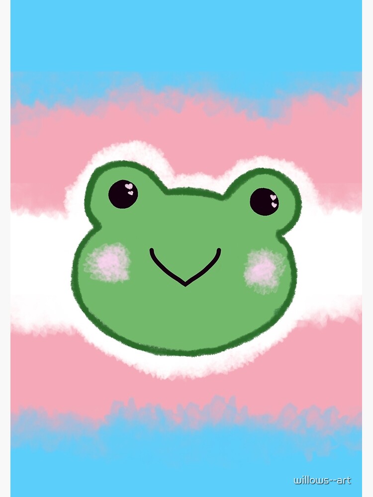 Transgender Frog Poster For Sale By Willows Art Redbubble