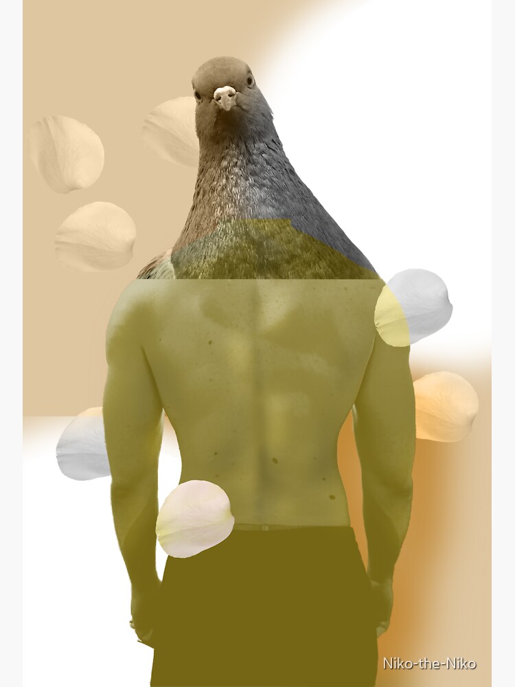 Sexy Gay Pigeon King Sticker For Sale By Niko The Niko Redbubble