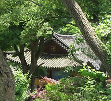 Hidden Buddist Temple by Debbie Montgomery