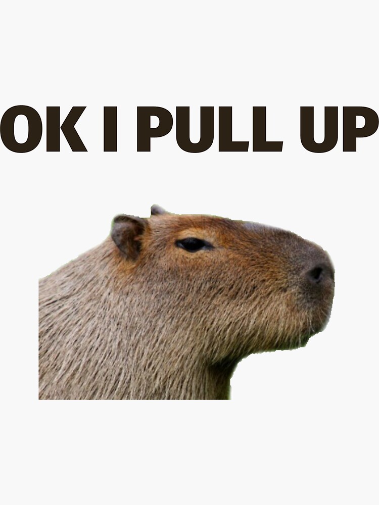 Capybara Meme Ok I Pull Up Sticker For Sale By SimpleUniverse