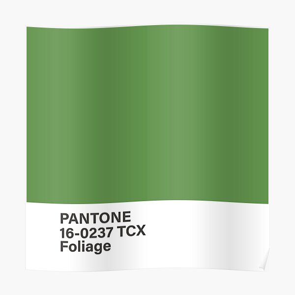 Pantone 16 0237 TCX Foliage Poster For Sale By Princessmi Redbubble