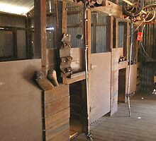 THE SHEARING SHED by Frewsellet