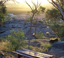 picnic location by Marie Tixier-Brennan