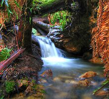 Hidden Treasure by Jared Revell