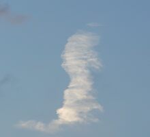Face in the clouds by plantgirl