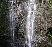 Where the waterfall ends by Randi Hoskins