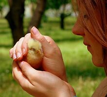 Ohh.. So Precious... - Baby Chick - NZ by AndreaEL