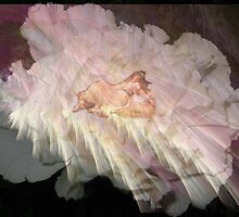 Beautiful Dreamer by Greta McLaughlin