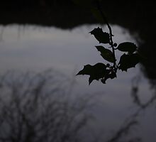 holly by emilia