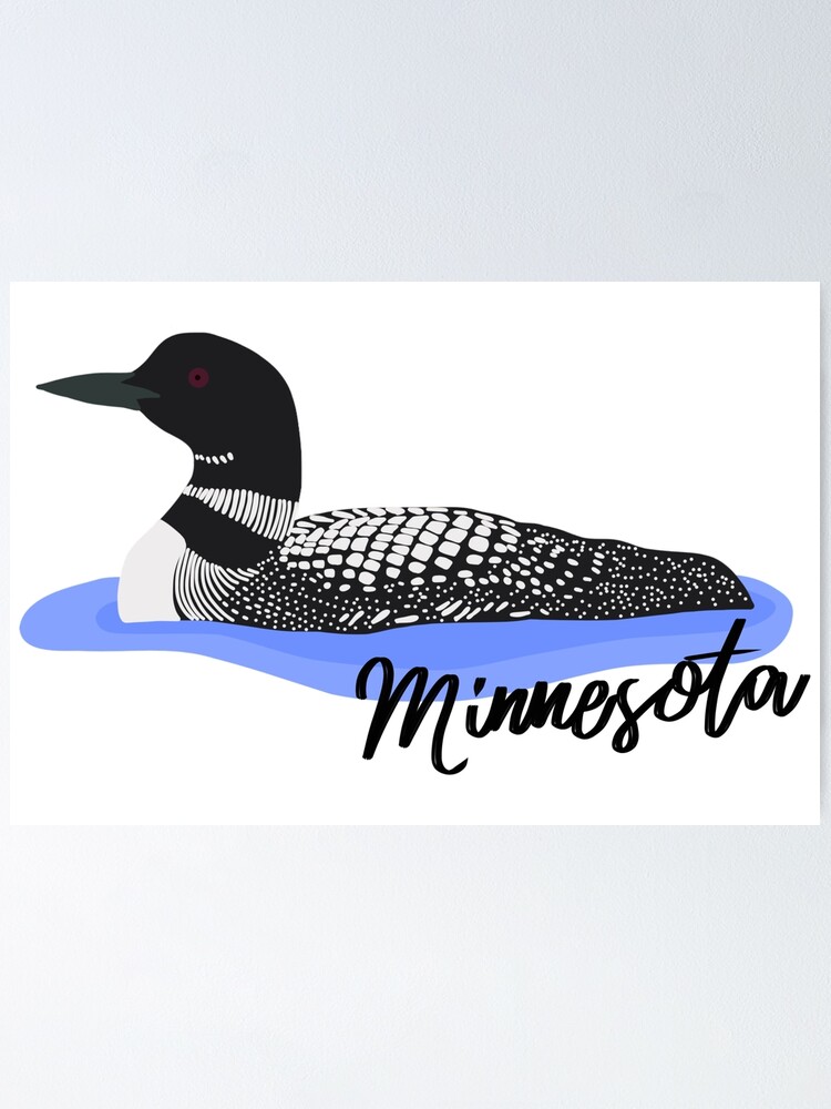 Common Loon Minnesota Drawing Poster For Sale By Annaryburn Redbubble