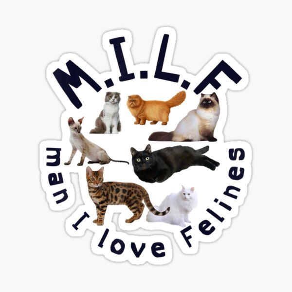 Felines Cat Milf Man I Love Felines Sticker For Sale By Akirashuu