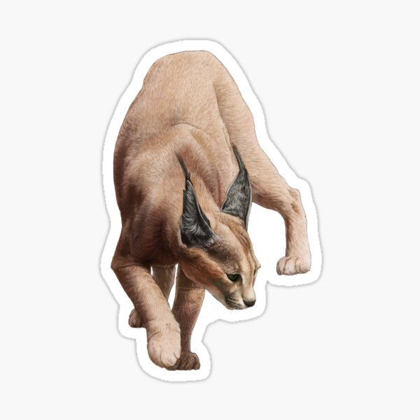 Caracal Sticker For Sale By Atarial Redbubble