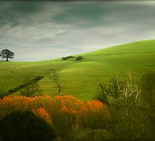 Watching Over The Embers by Nigel Finn