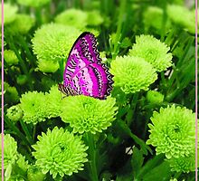 Green thoughts .. by Eugenio