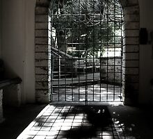 Locked In by JessDismont