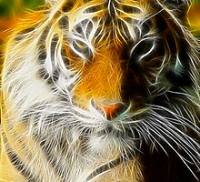 Regal by Shannon Beauford