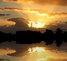 Heaven Sent by Varinia - Globalphotos