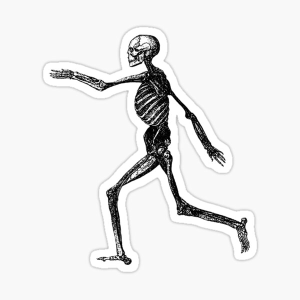 Running Skeleton Sticker Sticker For Sale By Lanatania Redbubble