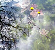 the four seasons by butchart
