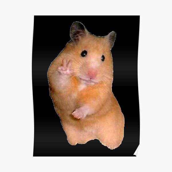 Peace Sign Hamster Poster For Sale By Linh Redbubble