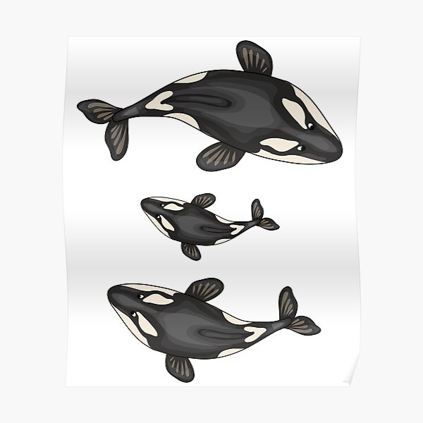 Orca Poster For Sale By Topbaseline Redbubble