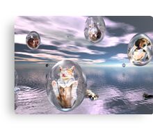 "Raining Cats and Dogs" by jewelskings | Redbubble