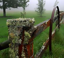 Barriers and mist by Craig Shadbolt