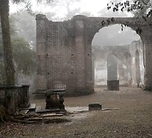 Behind Old Sheldon Church by Scott Hansen