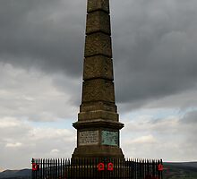 Standing tall by shakey