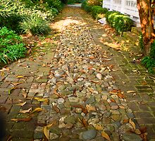 The road less travelled by Jason Anderson