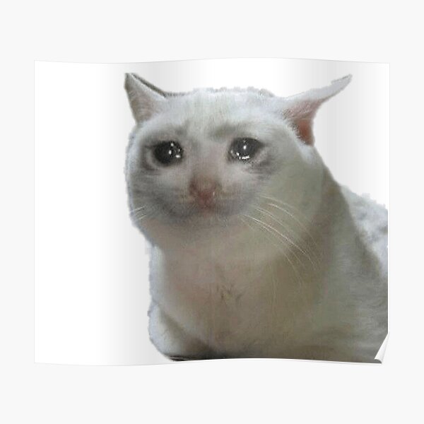 Crying Cat Meme Poster For Sale By Memesking Redbubble